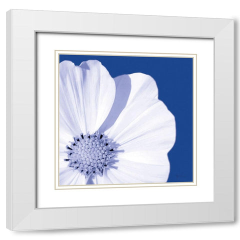 Flower Pop blue III White Modern Wood Framed Art Print with Double Matting by Cusson, Marie Elaine