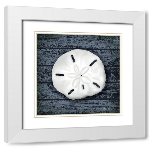 Seashore Shells Navy II White Modern Wood Framed Art Print with Double Matting by Cusson, Marie Elaine