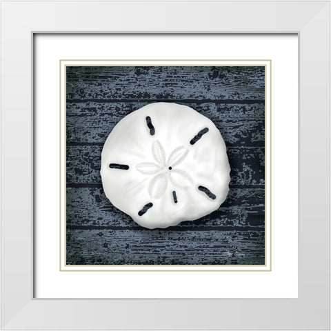 Seashore Shells Navy II White Modern Wood Framed Art Print with Double Matting by Cusson, Marie Elaine