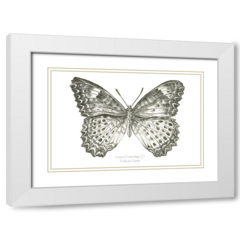 Butterfly Sketch landscape I White Modern Wood Framed Art Print with Double Matting by Wilson, Kelsey