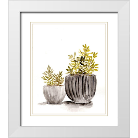 Gray Potted Plants White Modern Wood Framed Art Print with Double Matting by Chapman, Marcy