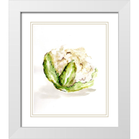 Veggie Sketch plain  VI-Cauliflower White Modern Wood Framed Art Print with Double Matting by Chapman, Marcy
