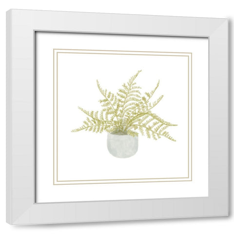 Potted Fern I White Modern Wood Framed Art Print with Double Matting by Bannarot