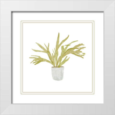 Potted Fern II White Modern Wood Framed Art Print with Double Matting by Bannarot
