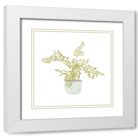 Potted Fern III White Modern Wood Framed Art Print with Double Matting by Bannarot