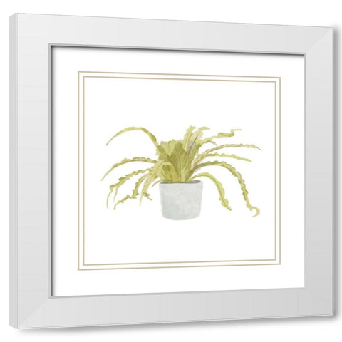 Potted Fern IV White Modern Wood Framed Art Print with Double Matting by Bannarot