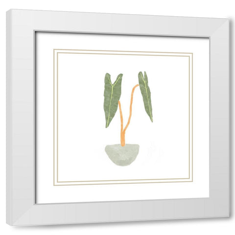 Philodendron Billietiae I White Modern Wood Framed Art Print with Double Matting by Bannarot