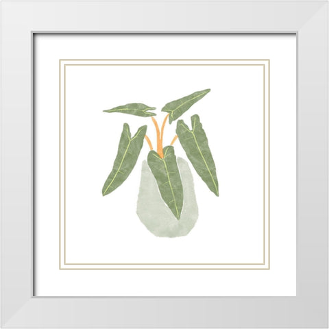 Philodendron Billietiae II White Modern Wood Framed Art Print with Double Matting by Bannarot