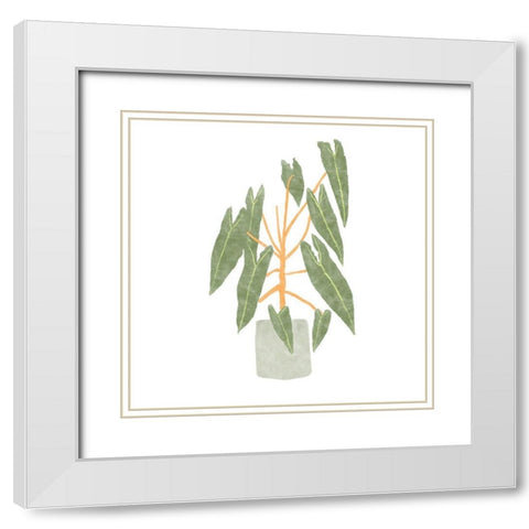Philodendron Billietiae III White Modern Wood Framed Art Print with Double Matting by Bannarot
