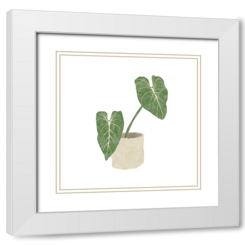 Philodendron Gloriosum I White Modern Wood Framed Art Print with Double Matting by Bannarot