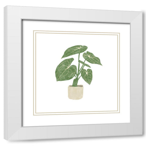 Philodendron Gloriosum II White Modern Wood Framed Art Print with Double Matting by Bannarot