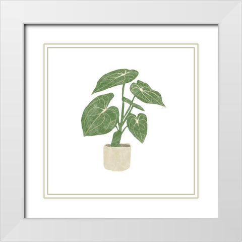 Philodendron Gloriosum II White Modern Wood Framed Art Print with Double Matting by Bannarot