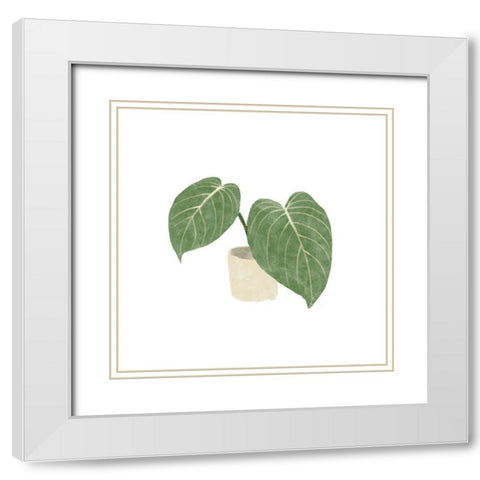 Philodendron Gloriosum III White Modern Wood Framed Art Print with Double Matting by Bannarot