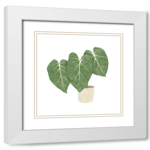 Philodendron Gloriosum IV White Modern Wood Framed Art Print with Double Matting by Bannarot