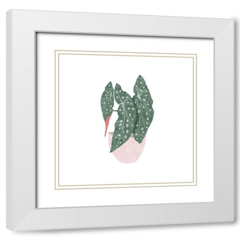 Polka Dot Begonia II White Modern Wood Framed Art Print with Double Matting by Bannarot