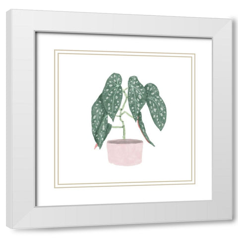 Polka Dot Begonia III White Modern Wood Framed Art Print with Double Matting by Bannarot