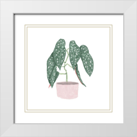 Polka Dot Begonia III White Modern Wood Framed Art Print with Double Matting by Bannarot