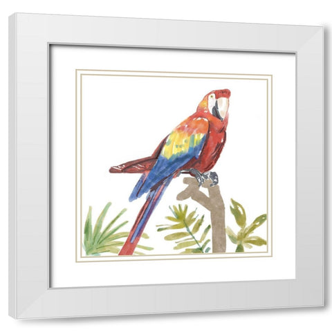 Tropical  Parrot White Modern Wood Framed Art Print with Double Matting by Bannarot