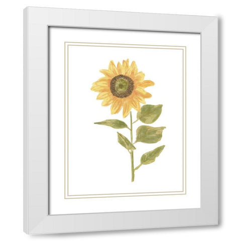Single  Sunflower portrait II White Modern Wood Framed Art Print with Double Matting by Bannarot
