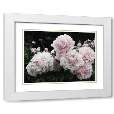 Peony  Poetry I White Modern Wood Framed Art Print with Double Matting by Cusson, Marie Elaine