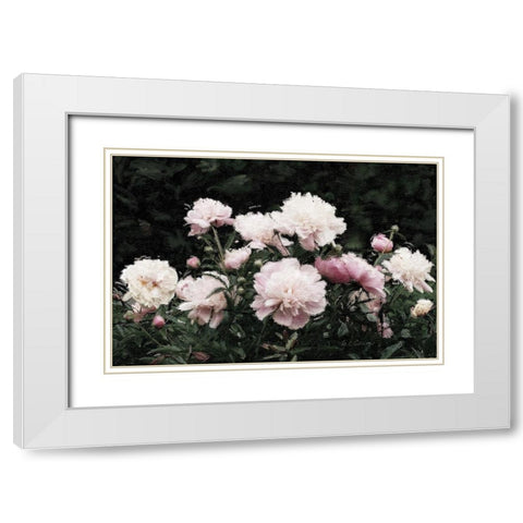 Peony  Poetry II White Modern Wood Framed Art Print with Double Matting by Cusson, Marie Elaine