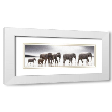 Elephant  Mirage White Modern Wood Framed Art Print with Double Matting by Bay, Noah