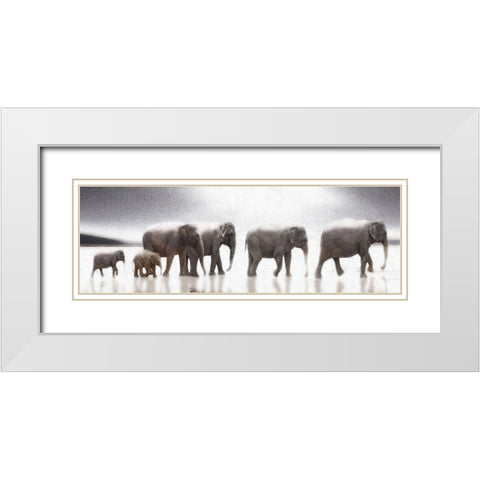 Elephant  Mirage White Modern Wood Framed Art Print with Double Matting by Bay, Noah