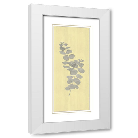 Natural Inspiration Eucalyptus vertical gray And yellow II White Modern Wood Framed Art Print with Double Matting by Reed, Tara
