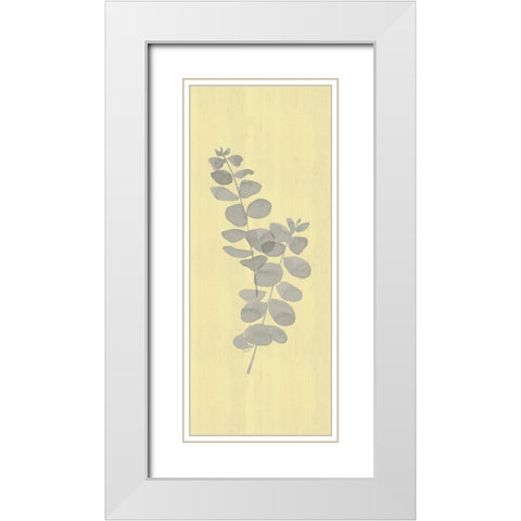 Natural Inspiration Eucalyptus vertical gray And yellow II White Modern Wood Framed Art Print with Double Matting by Reed, Tara