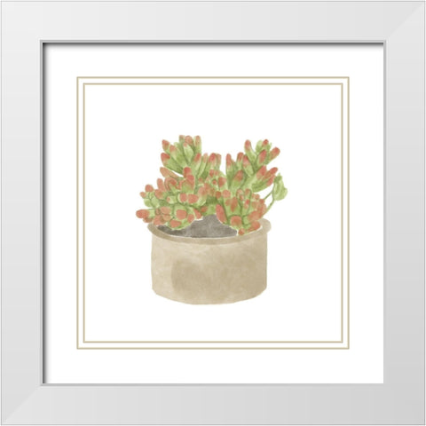 Simple Succulent I White Modern Wood Framed Art Print with Double Matting by Bannarot