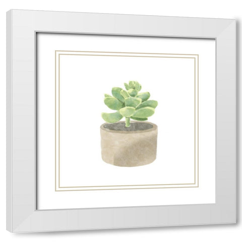 Simple Succulent II White Modern Wood Framed Art Print with Double Matting by Bannarot