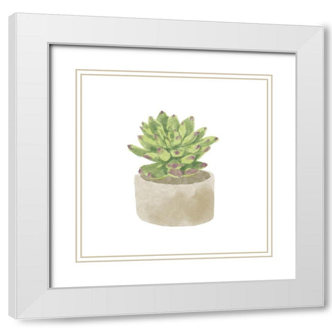Simple Succulent III White Modern Wood Framed Art Print with Double Matting by Bannarot
