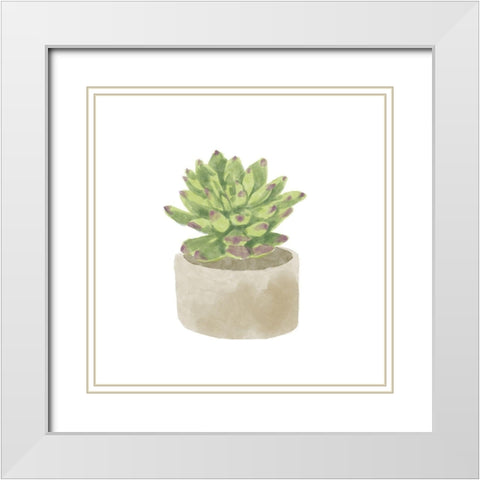 Simple Succulent III White Modern Wood Framed Art Print with Double Matting by Bannarot