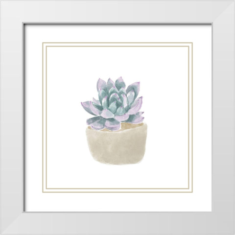 Simple Succulent IV White Modern Wood Framed Art Print with Double Matting by Bannarot