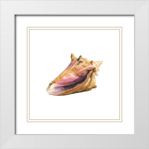 Oceanum Shells white I-Conch White Modern Wood Framed Art Print with Double Matting by Reed, Tara