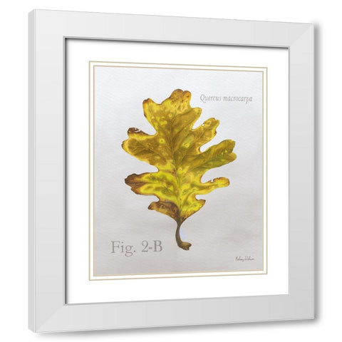 Autumn  Leaves on Gray III-Oak White Modern Wood Framed Art Print with Double Matting by Wilson, Kelsey
