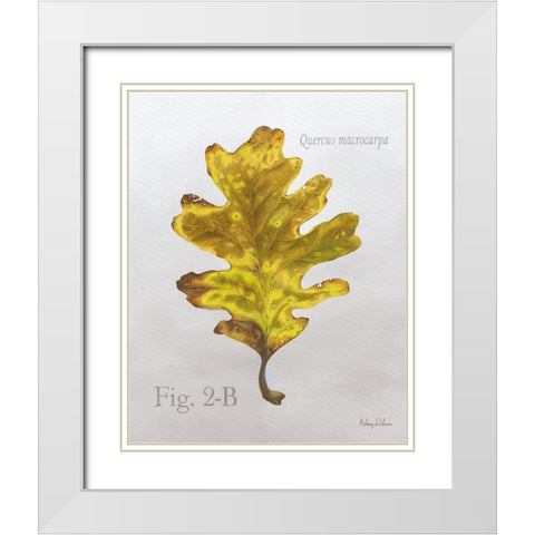 Autumn  Leaves on Gray III-Oak White Modern Wood Framed Art Print with Double Matting by Wilson, Kelsey