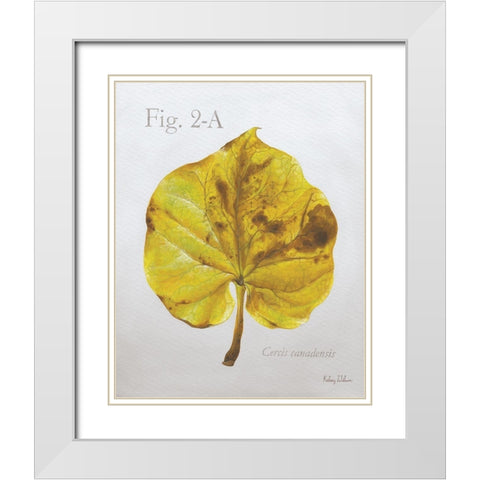Autumn  Leaves on Gray IV-Redbud White Modern Wood Framed Art Print with Double Matting by Wilson, Kelsey