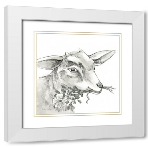Watercolor  Pencil Farm IV-Goat White Modern Wood Framed Art Print with Double Matting by Wilson, Kelsey