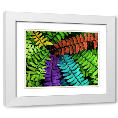 Feel  the Fern White Modern Wood Framed Art Print with Double Matting by Manelis, Jessica