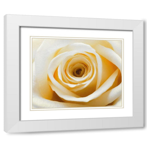 Gold  Rush White Modern Wood Framed Art Print with Double Matting by Manelis, Jessica