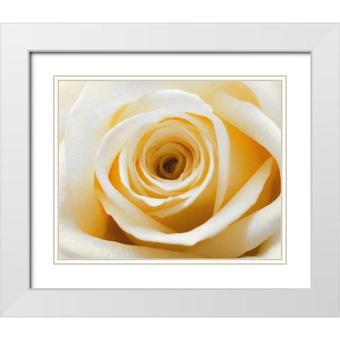 Gold  Rush White Modern Wood Framed Art Print with Double Matting by Manelis, Jessica