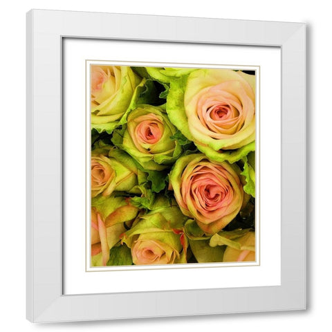 Green  And Pink Rose Bouquet White Modern Wood Framed Art Print with Double Matting by Manelis, Jessica