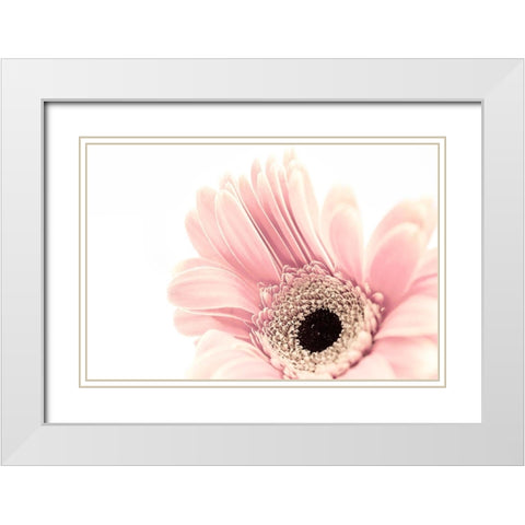Imaginary  Garden White Modern Wood Framed Art Print with Double Matting by Manelis, Jessica