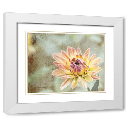 Impression  Flower White Modern Wood Framed Art Print with Double Matting by Manelis, Jessica