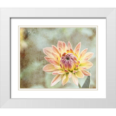 Impression  Flower White Modern Wood Framed Art Print with Double Matting by Manelis, Jessica
