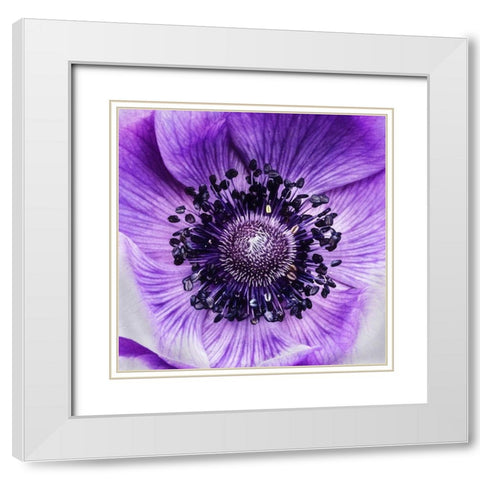 Not  Like the Rest White Modern Wood Framed Art Print with Double Matting by Manelis, Jessica