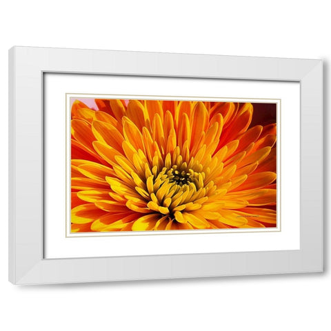 Other  Beautiful Things White Modern Wood Framed Art Print with Double Matting by Manelis, Jessica