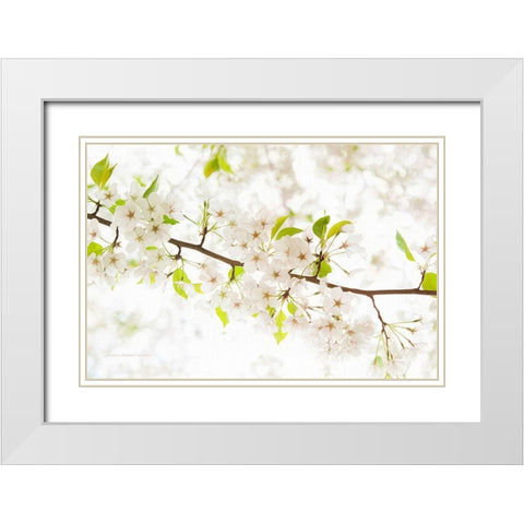 Pretentiously Elegant White Modern Wood Framed Art Print with Double Matting by Manelis, Jessica