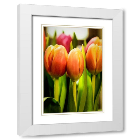 Radiant White Modern Wood Framed Art Print with Double Matting by Manelis, Jessica